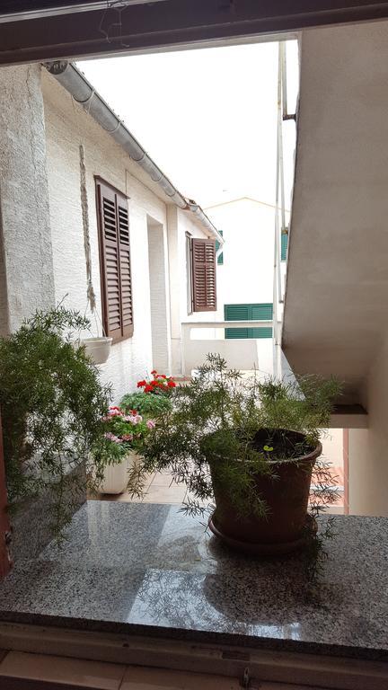 Apartments Bazilika نوفاليا المظهر الخارجي الصورة